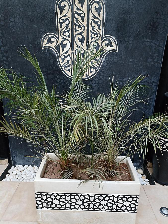 Riad Excellence Marrakesh Ngoại thất bức ảnh
